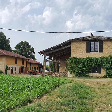 Le Moulin Du Fay Bed and Breakfast Villemotier Exterior foto